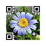 Picture QR Code