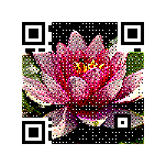 Picture QR Code