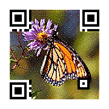 Butterfly QR Code