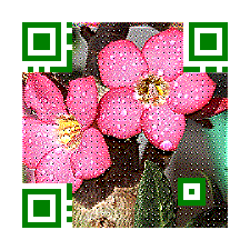 Flower_picture_qr_code_15